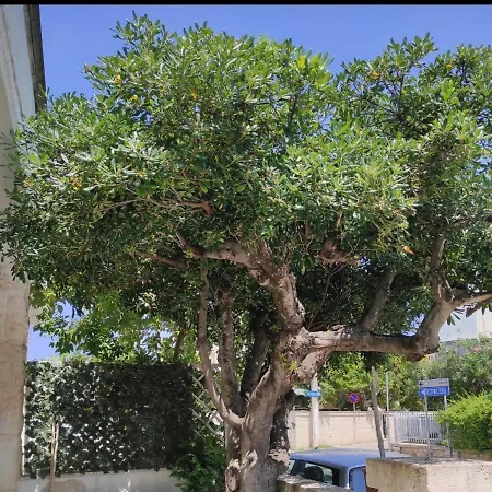 Pensionat Elis...land...